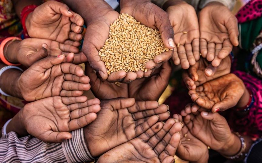 El mundo desperdició millones de toneladas de alimentos en 2019